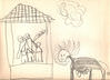 Steven_s-pics-372.jpg