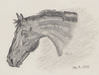 horse-2---Rebekah.jpg