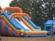 DSCN6245-600.jpg