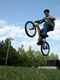 Sort_230461-600.jpg