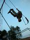 Sort_238478-600.jpg