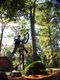 Sort_238743-600.jpg