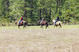 riding_horses.jpg