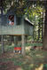 tree_house.jpg
