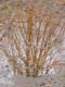 22908_Bonfire_00022.JPG