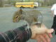 DSCN6162.JPG