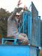 DSCN6250-600.jpg
