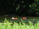 DSCN8189.JPG