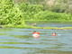 DSCN8229.JPG