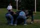 Sort_238065-600.jpg
