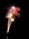 Sort_238264-600.jpg