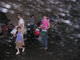 Sort_239651.jpg