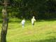 Sort_239797-600.jpg
