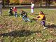 Sort_239981-600.jpg