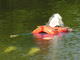 DSCN8227.JPG
