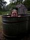 Filename=Sort_238496-600.jpg
Filesize=30KiB
Dimensions=450x600
Date added=Aug 17, 2007 Sort_238496-600.jpg
