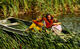 Filename=61.jpg
Filesize=547KiB
Dimensions=1397x856
Date added=Jun 29, 2007 61.jpg