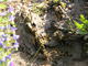 DSCN6787.JPG