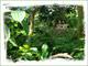 From_Christa_s_Camera_553.jpg