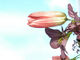 DSCN7552.JPG