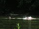 DSCN8187.JPG