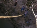 Swinging on the Roap Swing