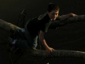 Timothy
